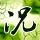 定制新版洛拉斯学院文凭学位【degxx.com】
